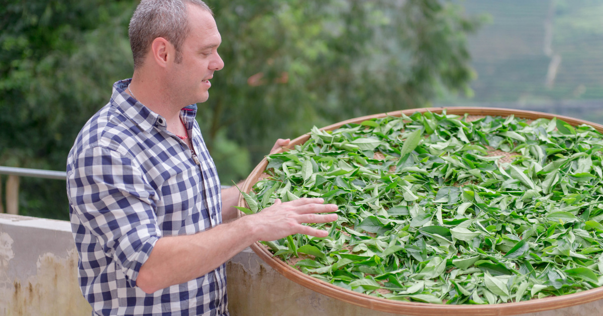 We're one year old today! A deeper look at the founder of Cusa Tea