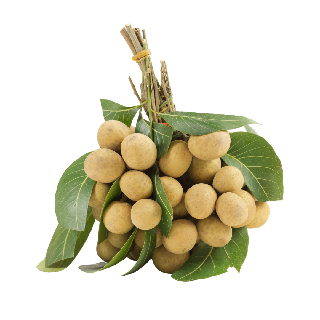 Cusa | Longan