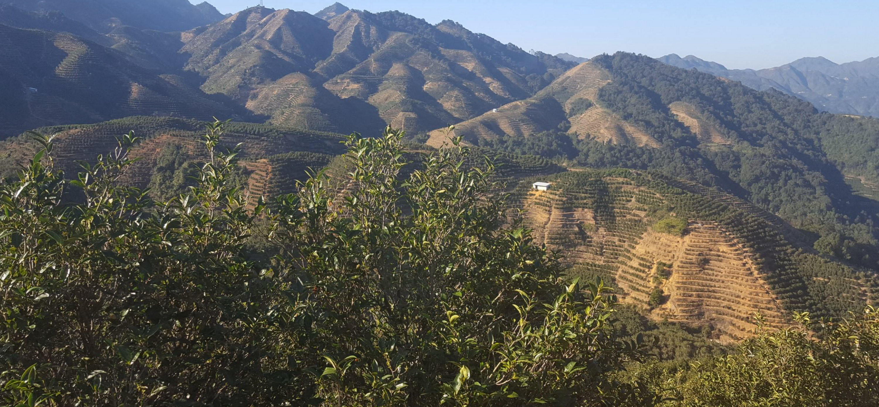 Our Commitment To The Environment.