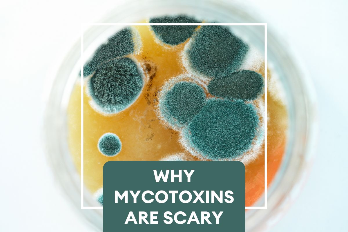 What are Mycotoxins? And why should you care?