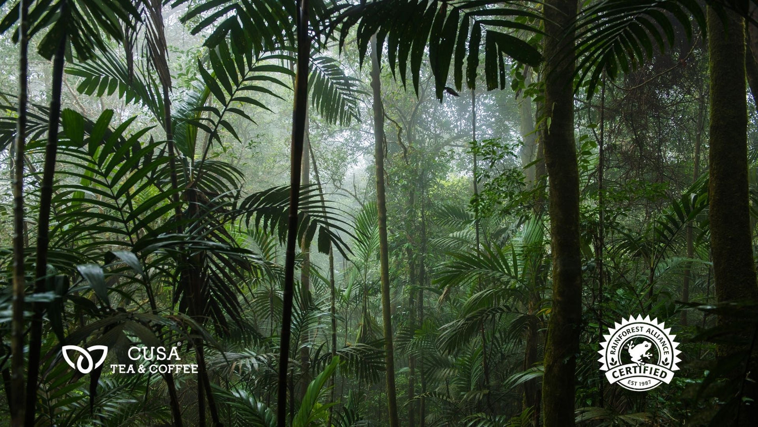 What Is Rainforest Alliance Certification?